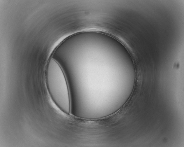 X0000113211476200909100934