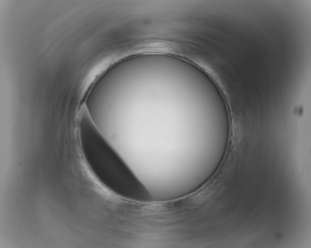 X0000113211477200909100934
