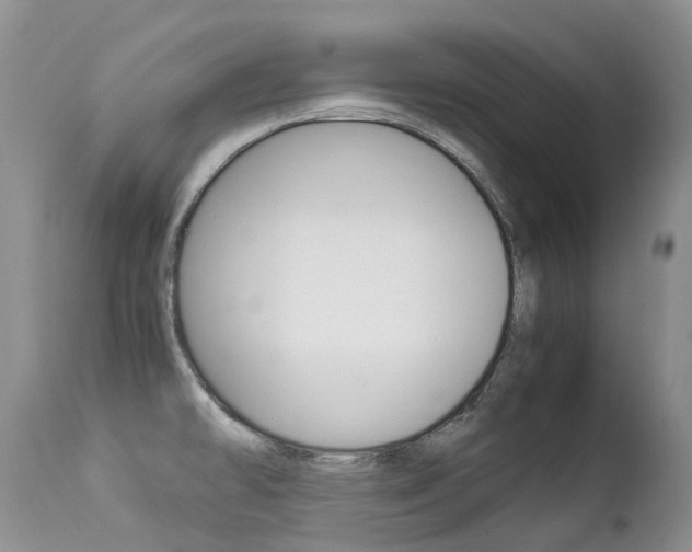 X0000113211478200909100934