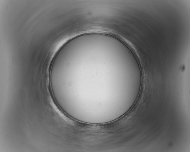 X0000113211479200909100934