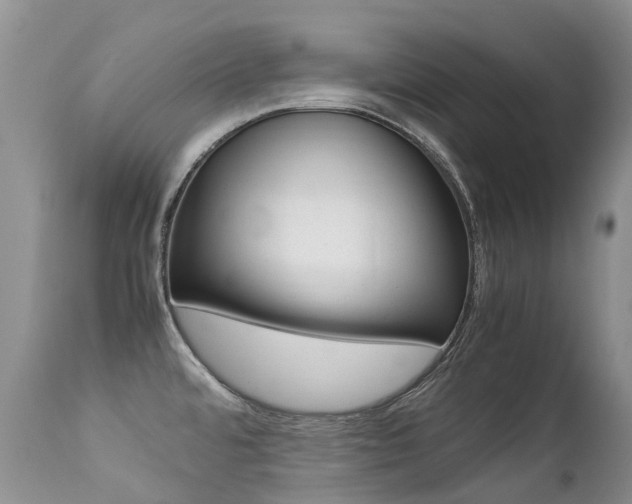 X0000113211480200909100934