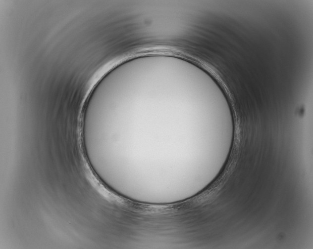 X0000113211482200909100934