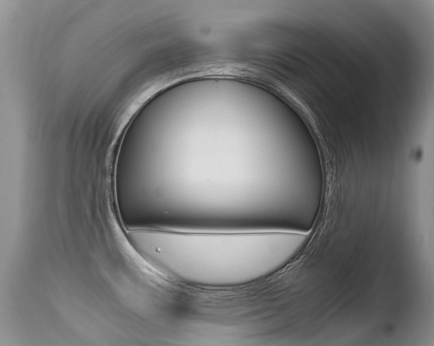 X0000113211483200909100934