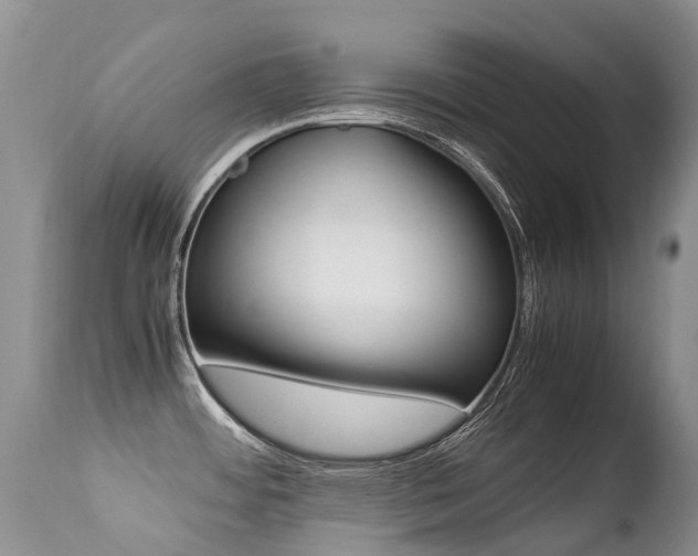 X0000113211484200909100934