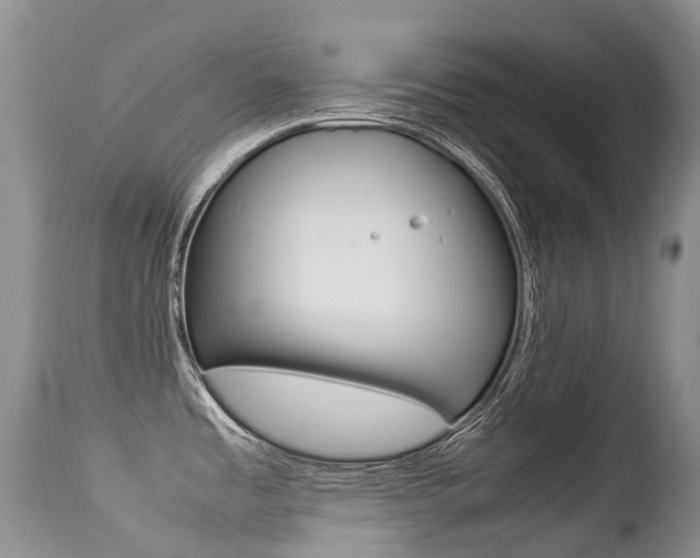 X0000113211485200909100934