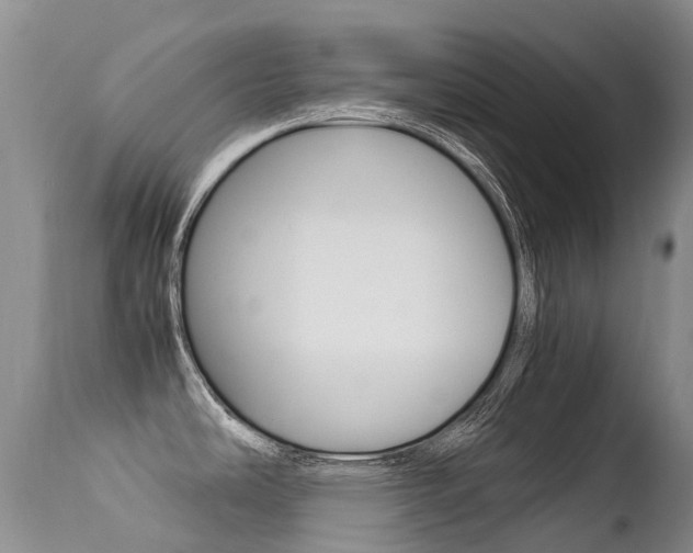 X0000113211486200909100934