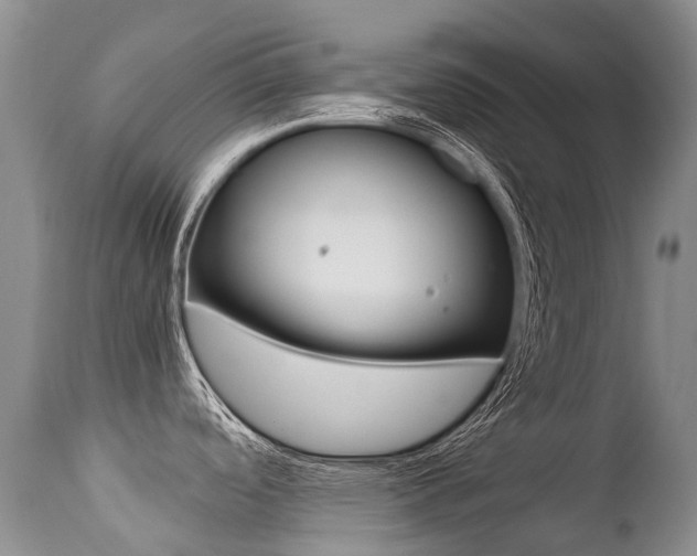 X0000113211488200909100934
