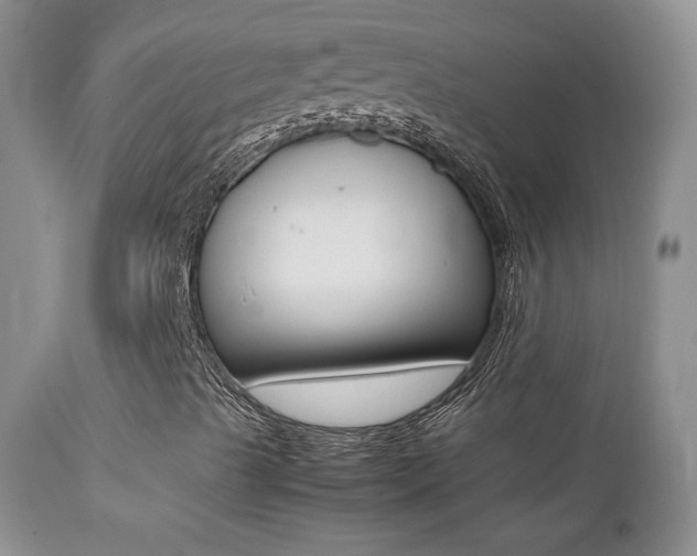 X0000113211489200909100933
