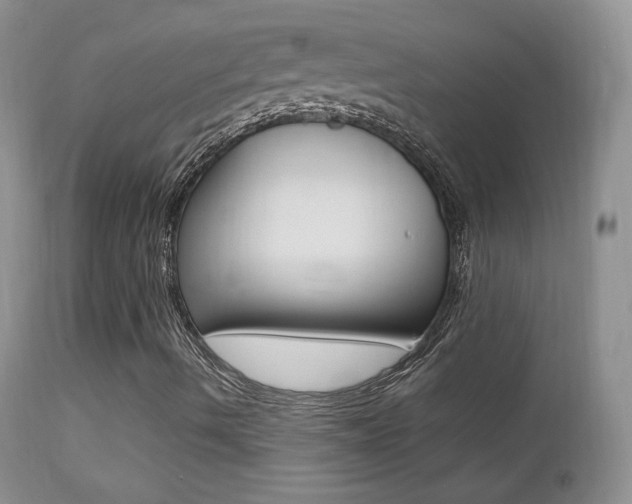 X0000113211490200909100933