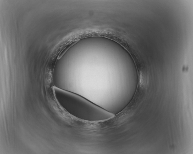 X0000113211492200909100933