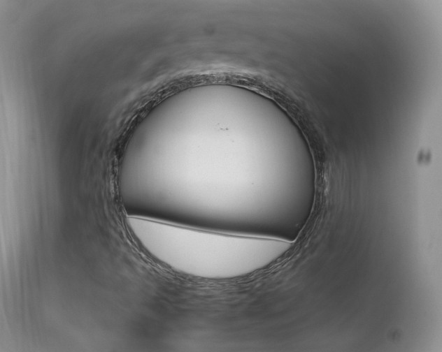 X0000113211493200909100933