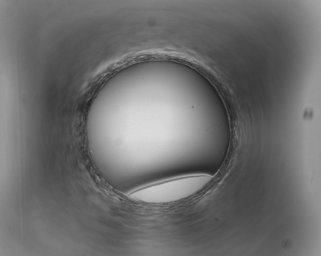 X0000113211494200909100933