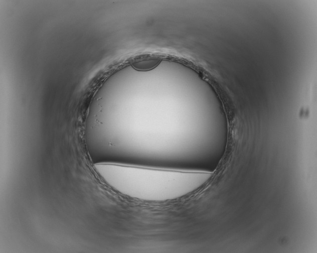 X0000113211495200909100933