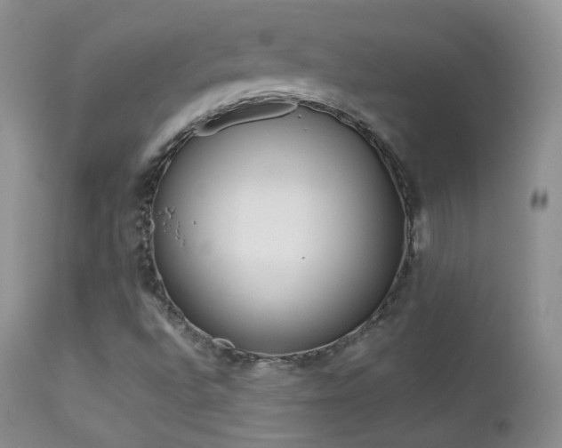 X0000113211496200909100933