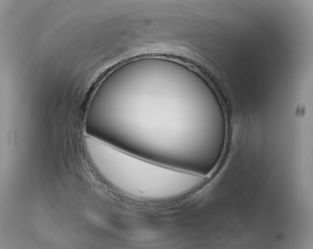 X0000113211497200909100933