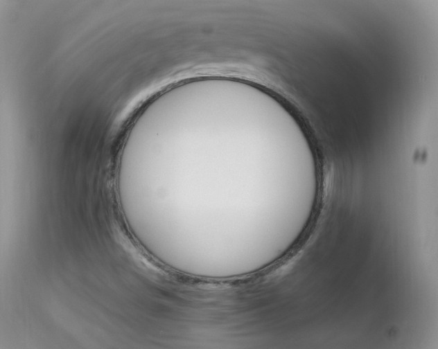 X0000113211498200909100933