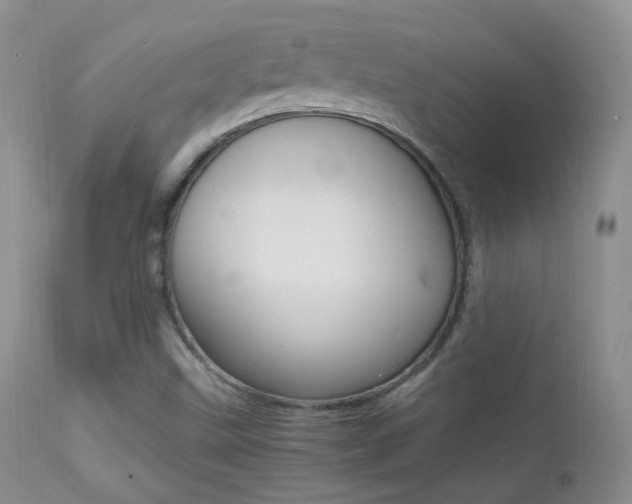X0000113211499200909100933