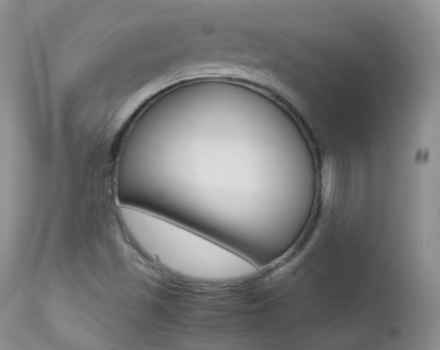 X0000113211501200909100933