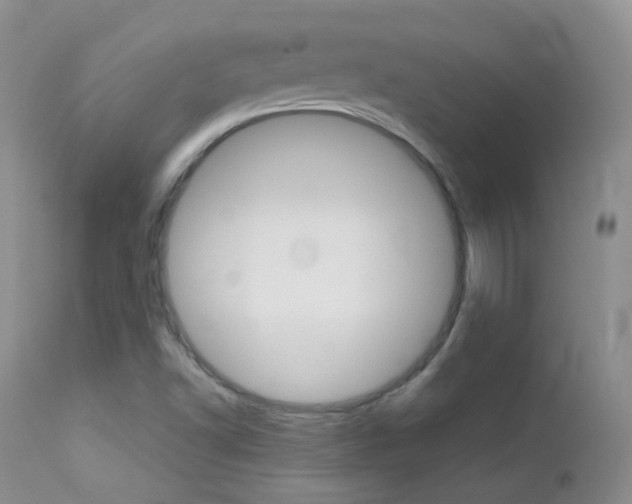 X0000113211502200909100933