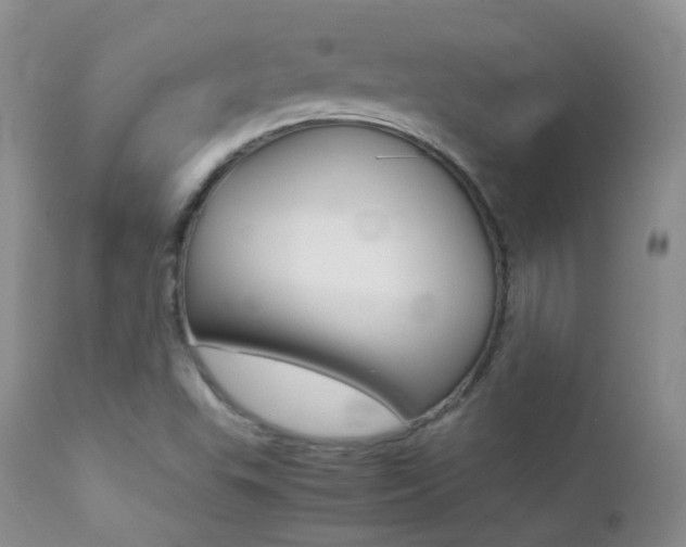 X0000113211503200909100933