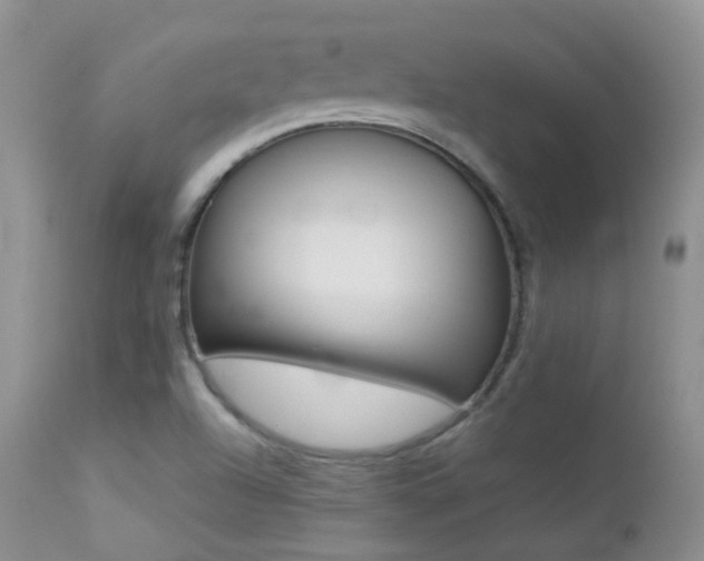 X0000113211504200909100933