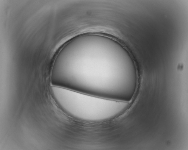 X0000113211505200909100933