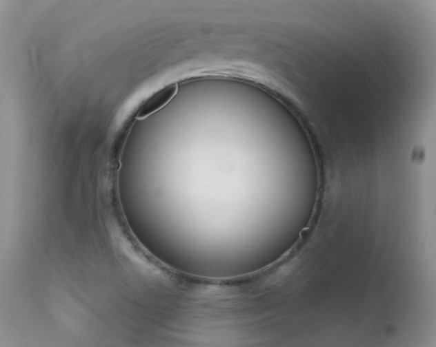 X0000113211506200909100933
