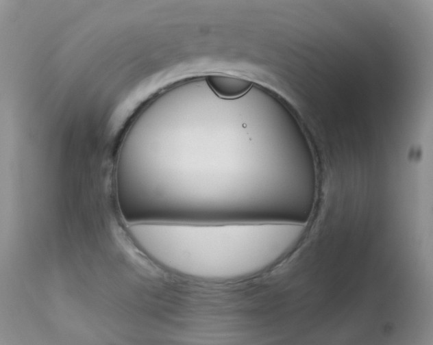 X0000113211507200909100933