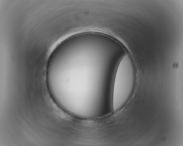 X0000113211508200909100933