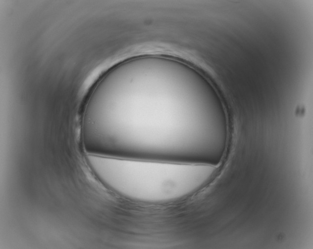 X0000113211509200909100934