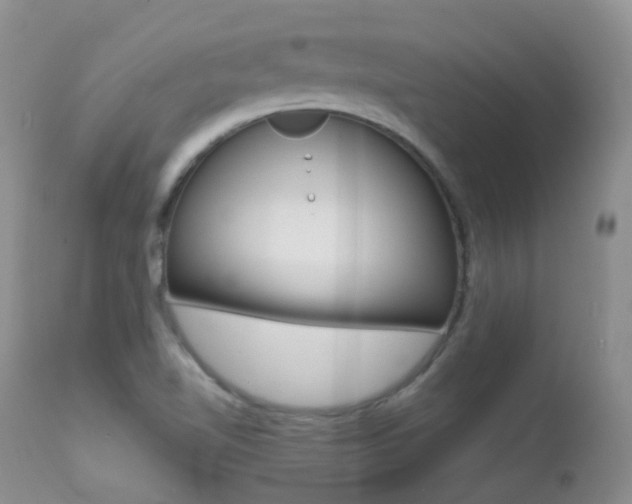 X0000113211510200909100934