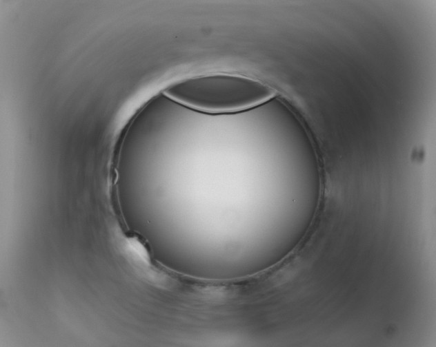 X0000113211512200909100934