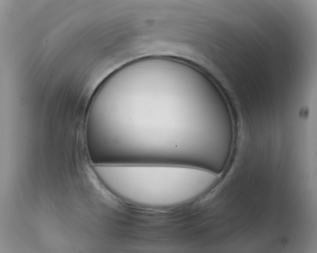 X0000113211513200909100934