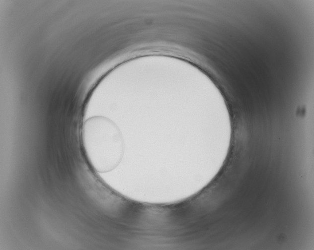 X0000113211514200909100934