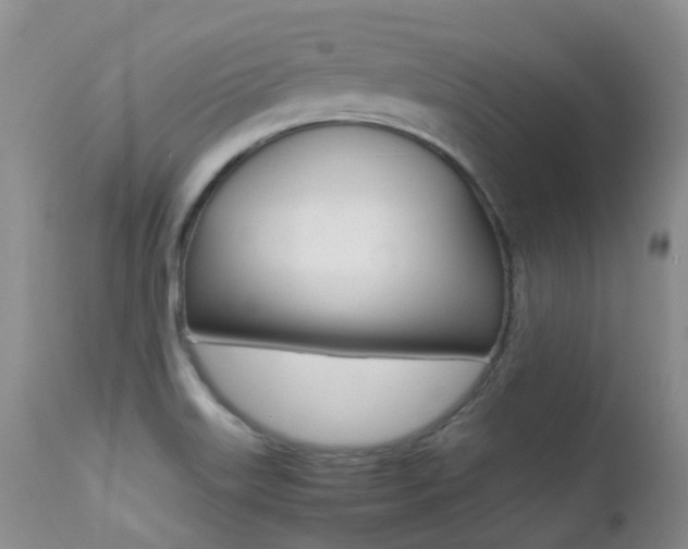 X0000113211515200909100934
