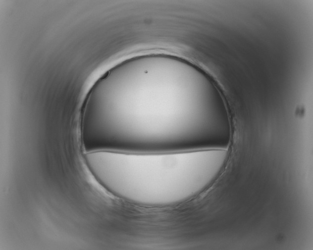 X0000113211516200909100934