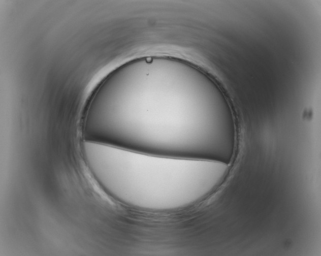 X0000113211517200909100934