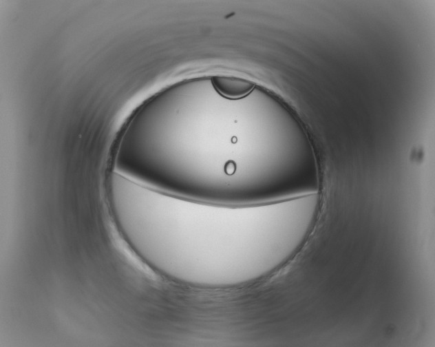 X0000113211518200909100934