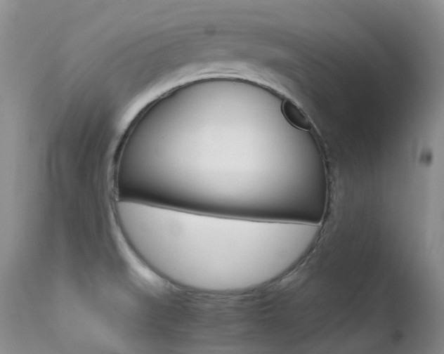 X0000113211519200909100934