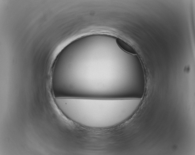 X0000113211520200909100934