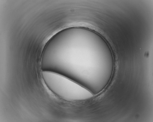 X0000113211521200909100934
