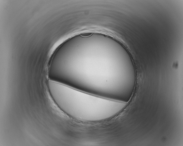 X0000113211522200909100934