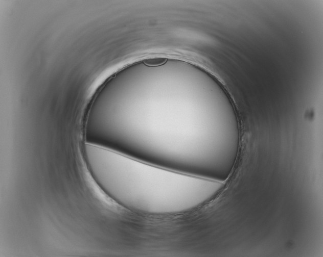 X0000113211523200909100934