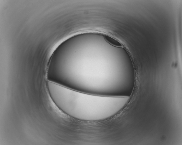X0000113211524200909100934