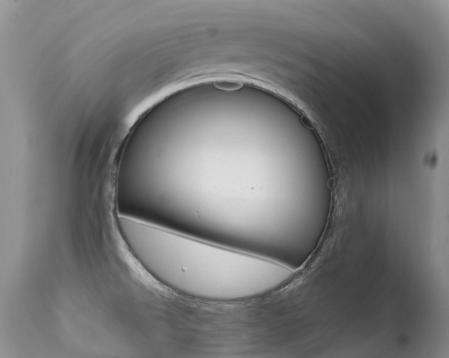 X0000113211526200909100934