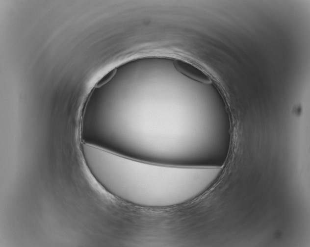 X0000113211528200909100934
