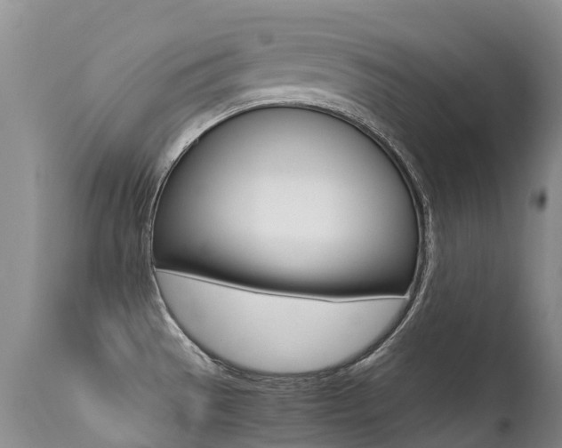 X0000113211529200909100934