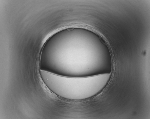 X0000113211530200909100934
