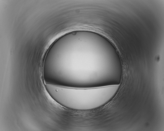 X0000113211531200909100934