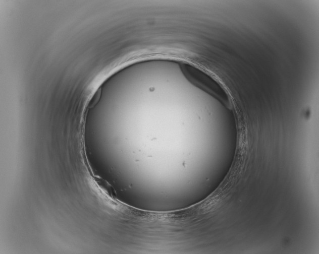 X0000113211532200909100934
